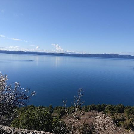 Apartman Krzenic With Sea View Podgora Buitenkant foto