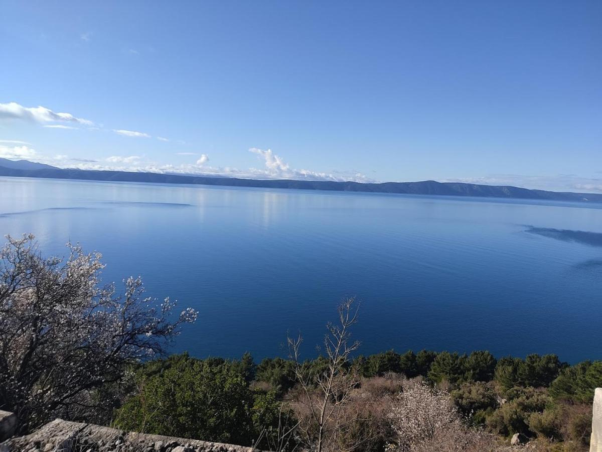 Apartman Krzenic With Sea View Podgora Buitenkant foto